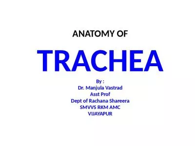 ANATOMY OF TRACHEA By : Dr. Manjula Vastrad