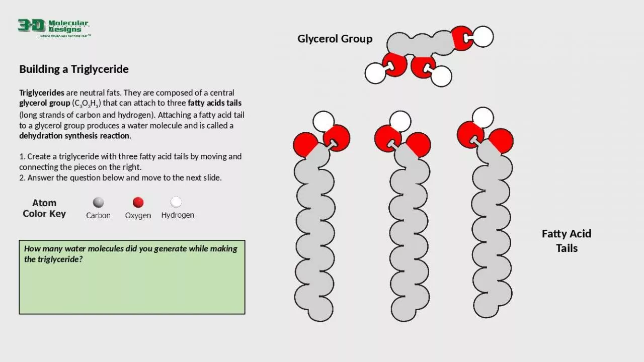 PPT-Building a Triglyceride Triglycerides