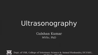 Ultrasonography Gulshan  Kumar