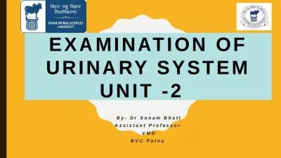 Examination of urinary  system