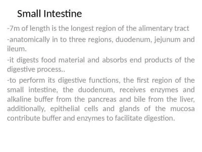 Small Intestine -7m of length is the longest region of the alimentary tract