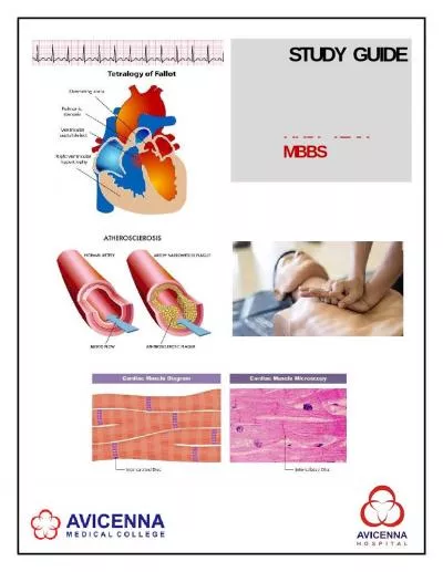 CARDIOVASCULAR   SYSTEM MO