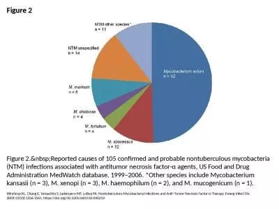 Figure 2 Figure 2.&nbsp;Reported causes of 105 confirmed and probable nontuberculous