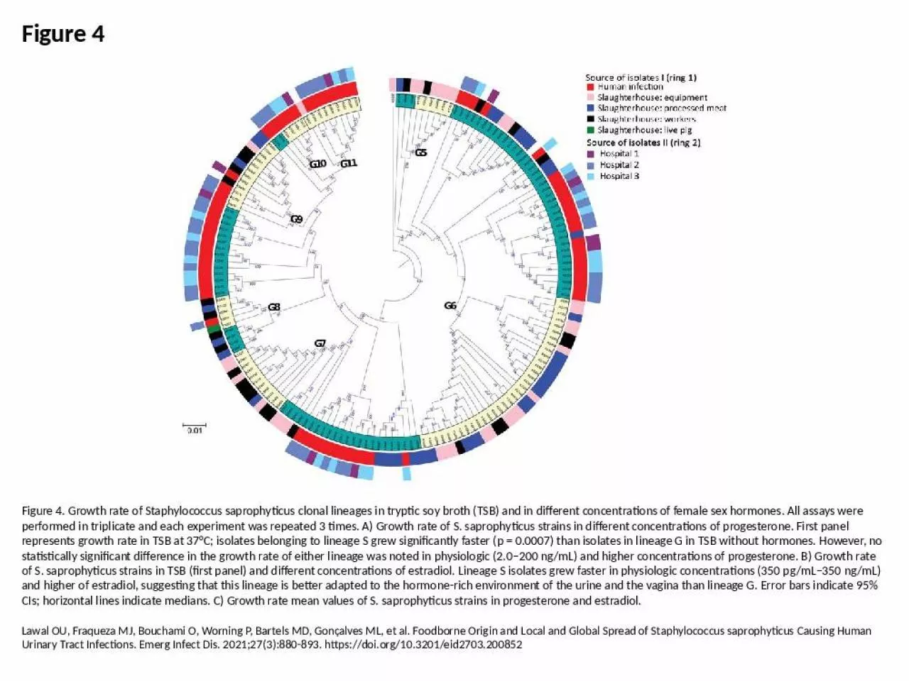 PPT-Figure 4 Figure 4. Growth rate of Staphylococcus saprophyticus clonal lineages in tryptic