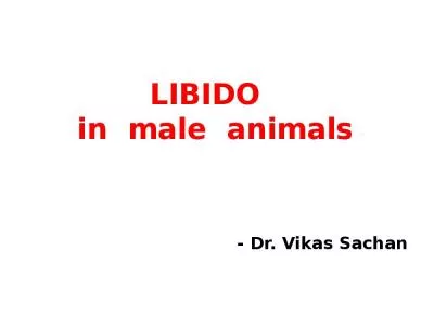 LIBIDO   in  male  animals