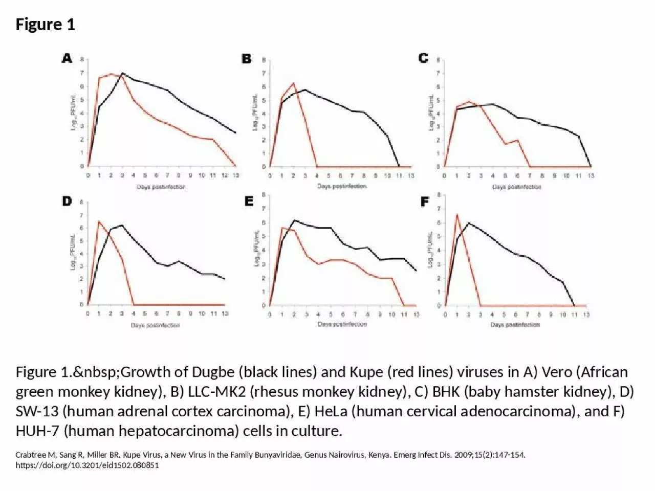 PPT-Figure 1 Figure 1.&nbsp;Growth of Dugbe (black lines) and Kupe (red lines) viruses