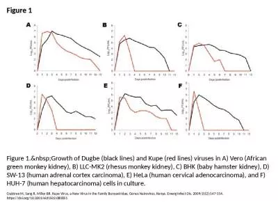 Figure 1 Figure 1.&nbsp;Growth of Dugbe (black lines) and Kupe (red lines) viruses