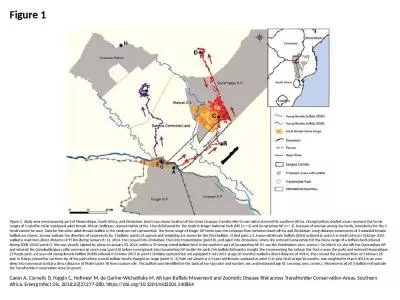 Figure 1 Figure 1. Study area encompassing part of Mozambique, South Africa, and Zimbabwe.