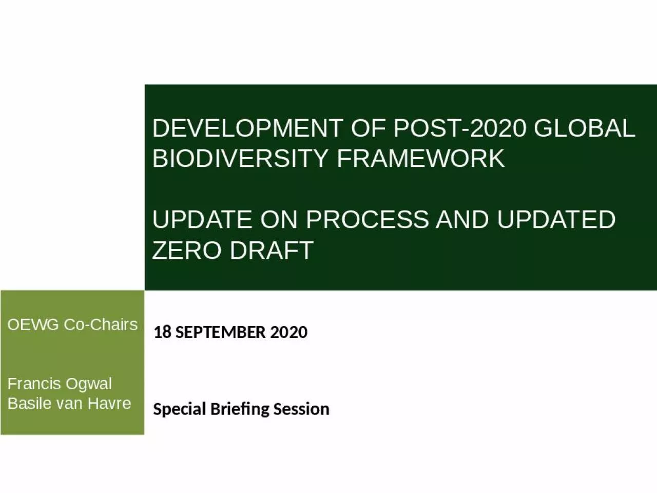 PPT-DEVELOPMENT OF POST-2020 GLOBAL BIODIVERSITY FRAMEWORK