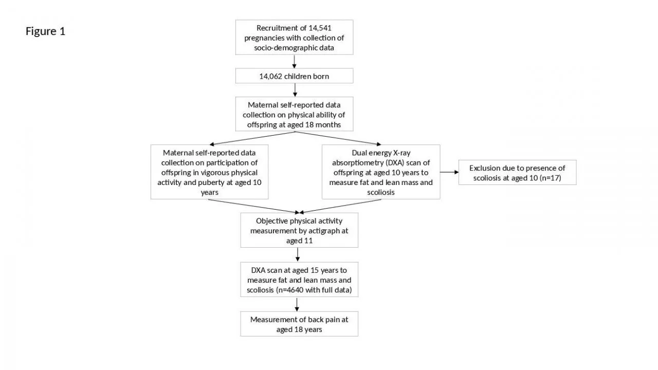 PPT-Figure 1 Recruitment of 14,541 pregnancies with collection of socio-demographic data