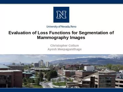 Evaluation Functions Segmentation Mammography Meepaganithage