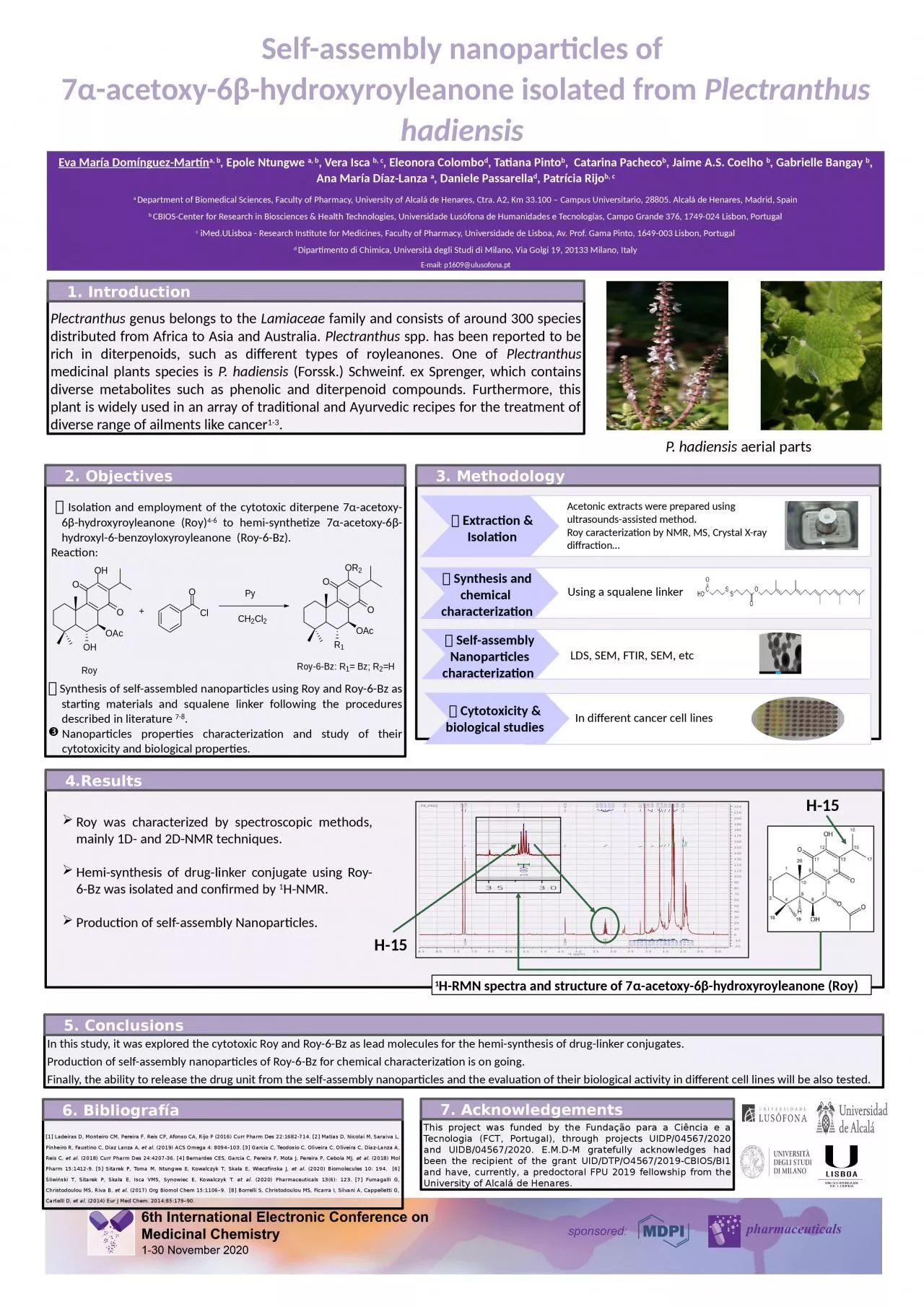 PPT-Selfassembly Plectranthus Epole Ntungwe Eleonora Colombod Tatiana