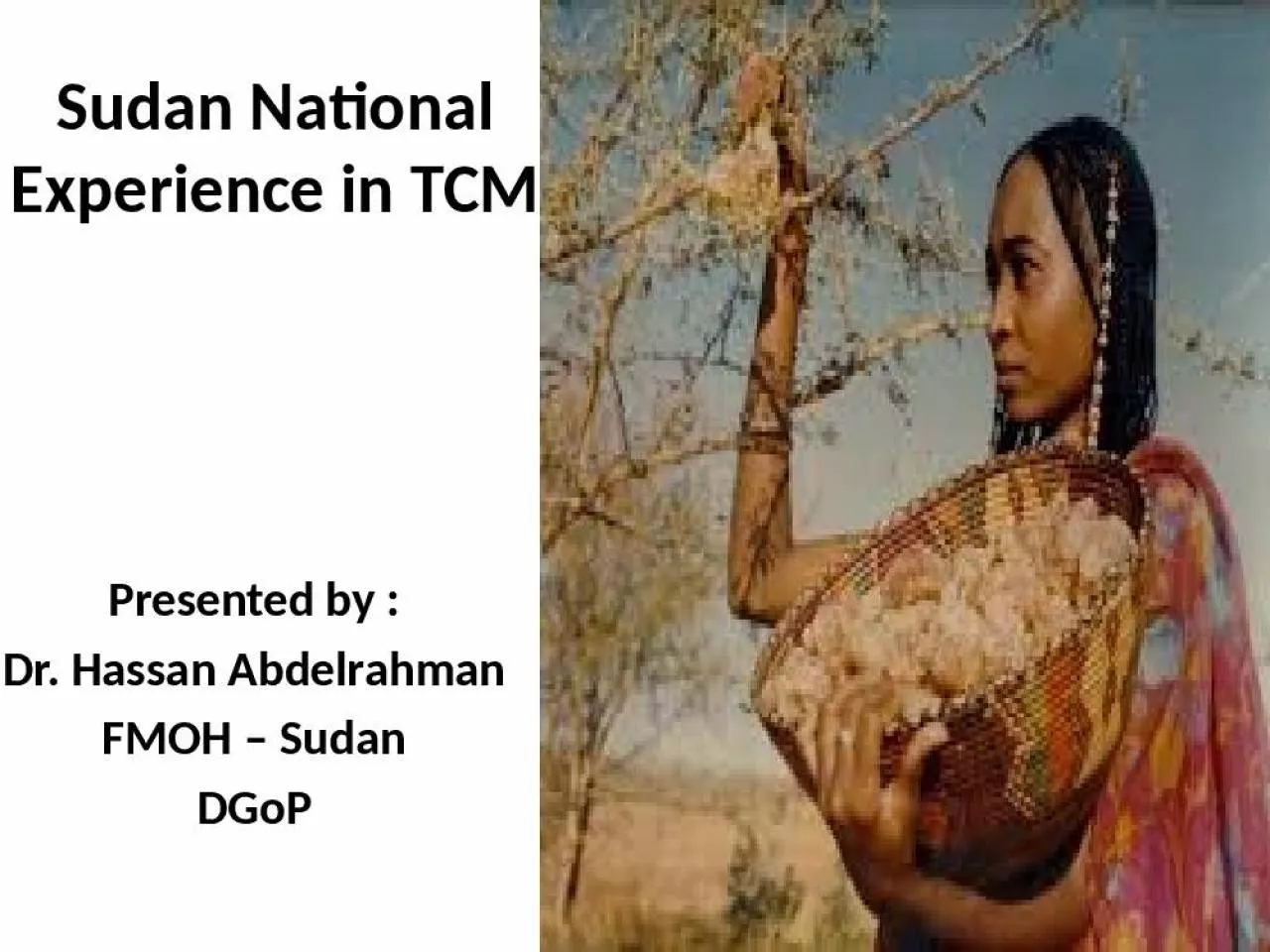 PPT-Sudan National Experience Hassan