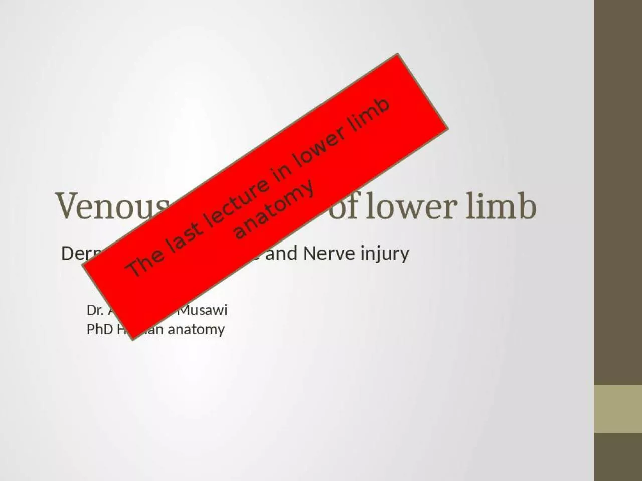 PPT-Venous Myotome Nerve Ahmed Human Objectives Define Dermatomes Myotome