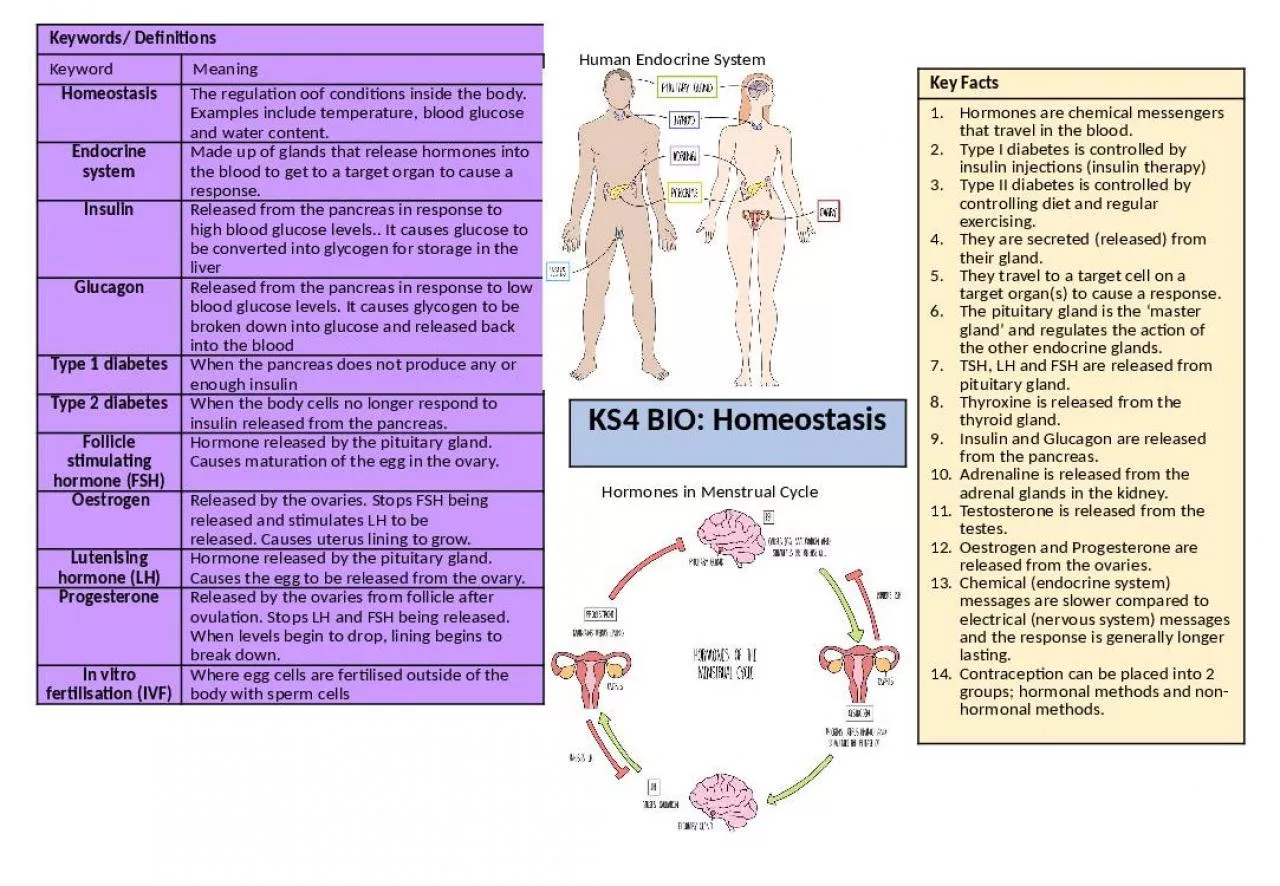 PPT-Keywords Examples