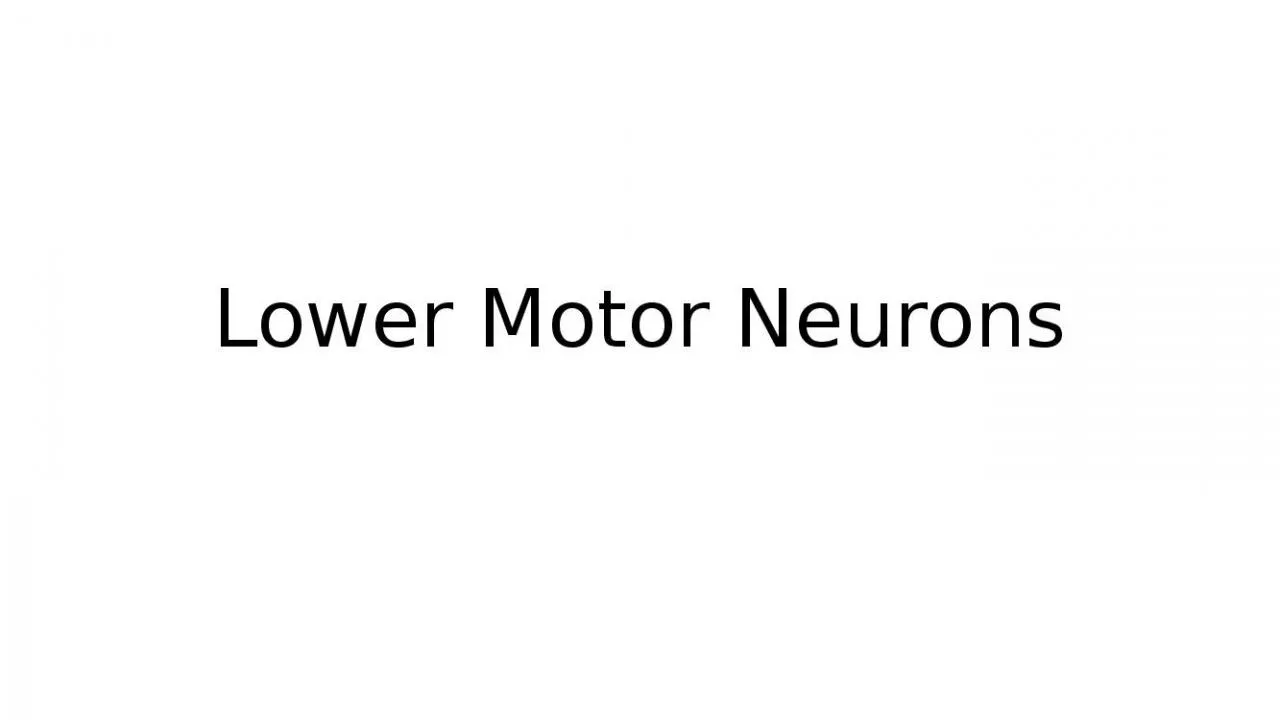 PPT-Lower Motor Neurons