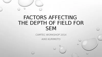 Factors affecting  the Depth of Field for SEM