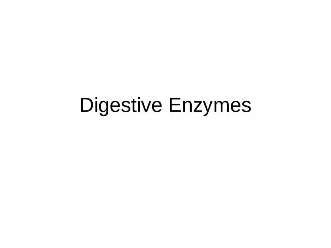 PPT-Digestive Enzymes