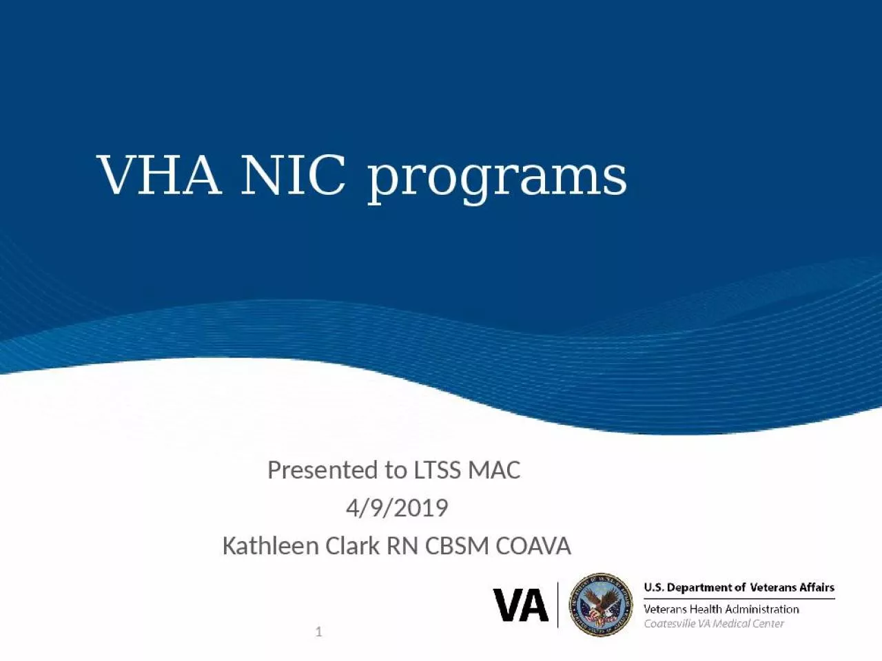 PPT-VHA NIC programs