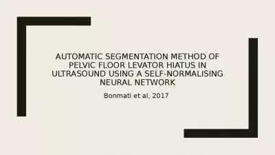 Automatic segmentation method of pelvic floor levator hiatus in ultrasound using a self-normalising