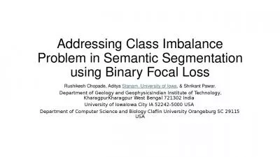 Addressing Class Imbalance Problem in Semantic Segmentation using Binary Focal Loss