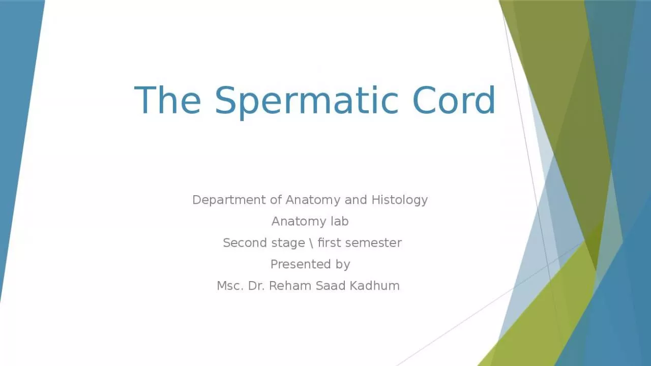 PPT-The Spermatic Cord