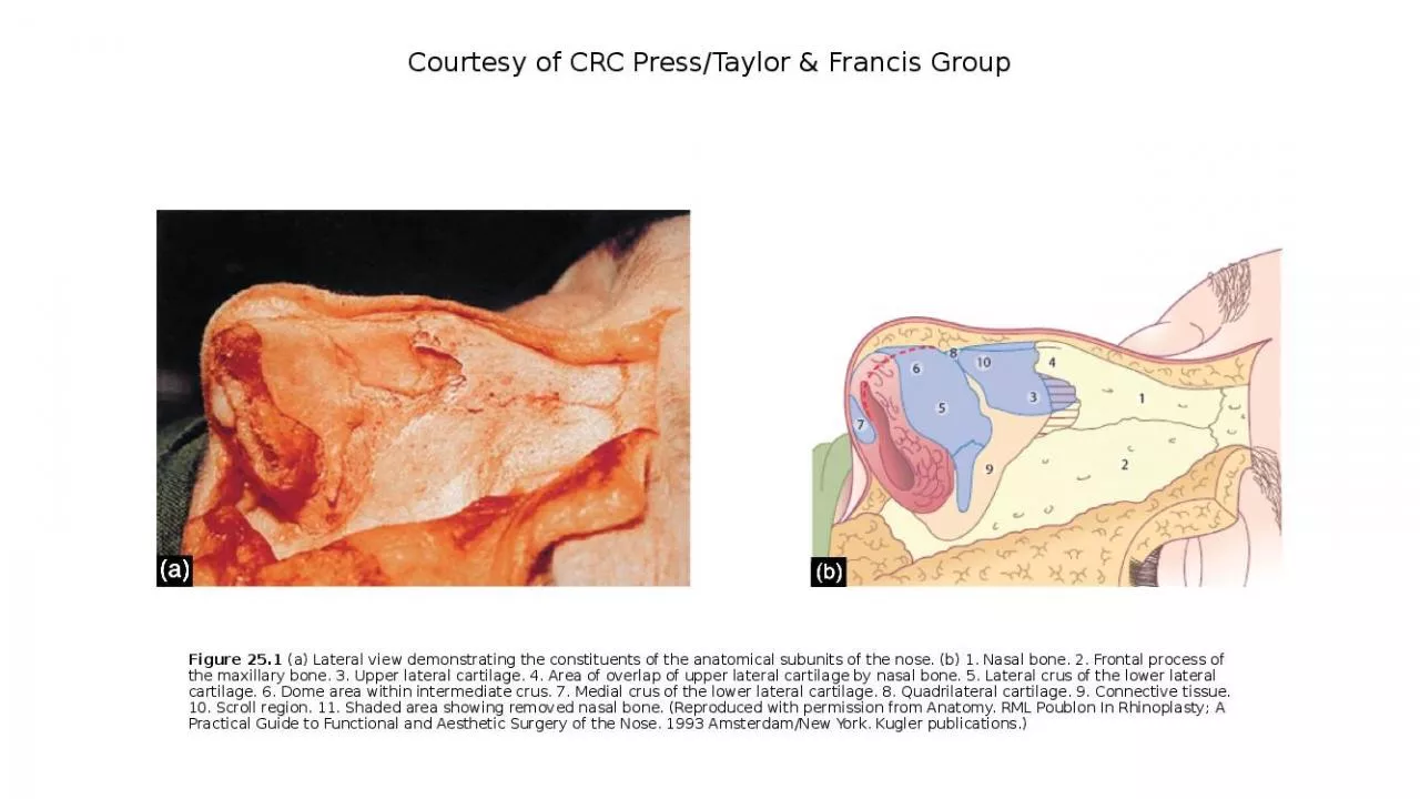 PPT-Courtesy of CRC Press/Taylor & Francis Group