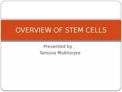 OVERVIEW OF STEM CELLS