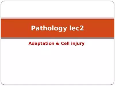 Pathology lec2