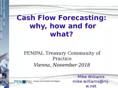 Cash Flow Forecasting:  why, how and for what?