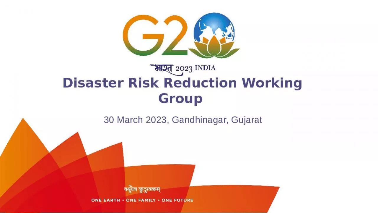 PPT-Disaster Risk Reduction Working Group