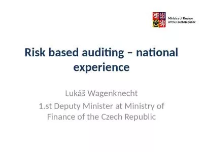 Risk based auditing   national experience