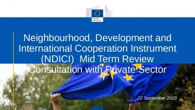 Neighbourhood, Development and International Cooperation Instrument (NDICI)  Mid Term Review Consultation with Private Sector