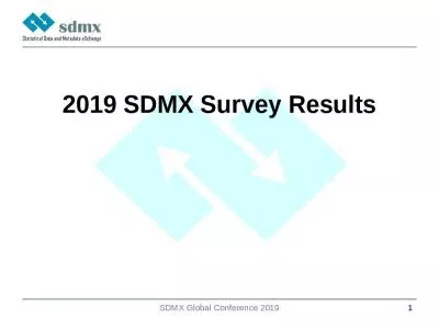 2019 SDMX Survey Results