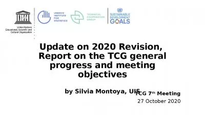 Update on 2020 Revision,  Report on the TCG general progress and meeting objectives by Silvia Montoya, UIS