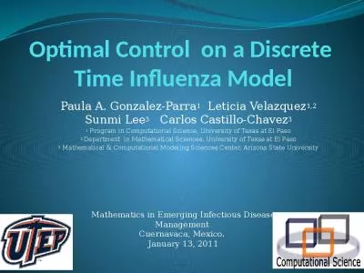 Optimal Control  on a Discrete  Time Influenza Model