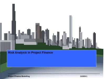 Risk Analysis in Project Finance