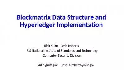 Blockmatrix Data Structure and Hyperledger Implementation