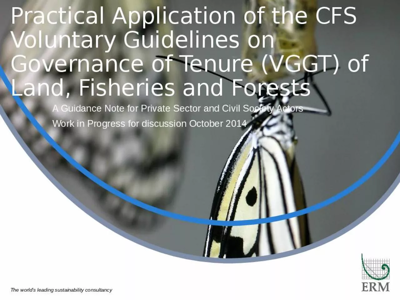 PPT-Practical Application of the CFS Voluntary Guidelines on Governance of Tenure (VGGT) of