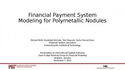 Financial Payment System Modeling for Polymetallic Nodules