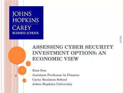 Assessing Cyber Security Investment Options: An Economic View