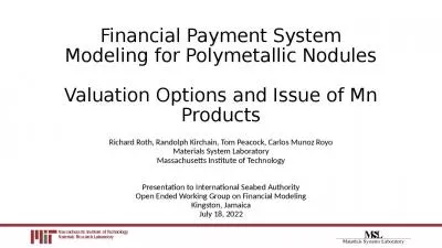 Financial Payment System Modeling for Polymetallic Nodules Valuation Options and Issue