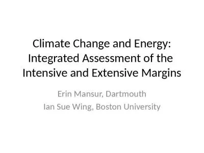 Climate Change and Energy: Integrated Assessment of the  Intensive and Extensive Margins