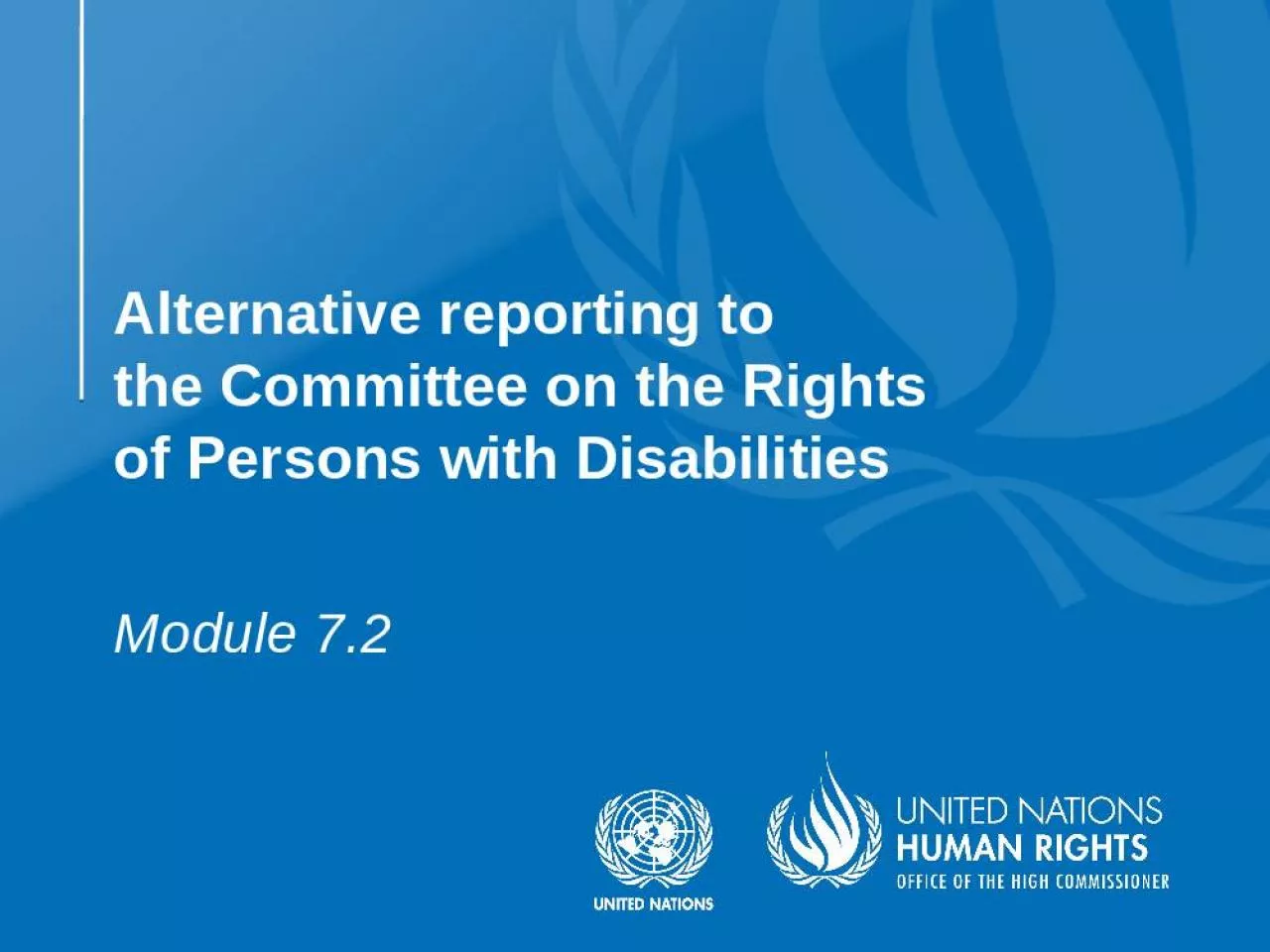 PPT-Alternative reporting to the Committee on the Rights of Persons with Disabilities