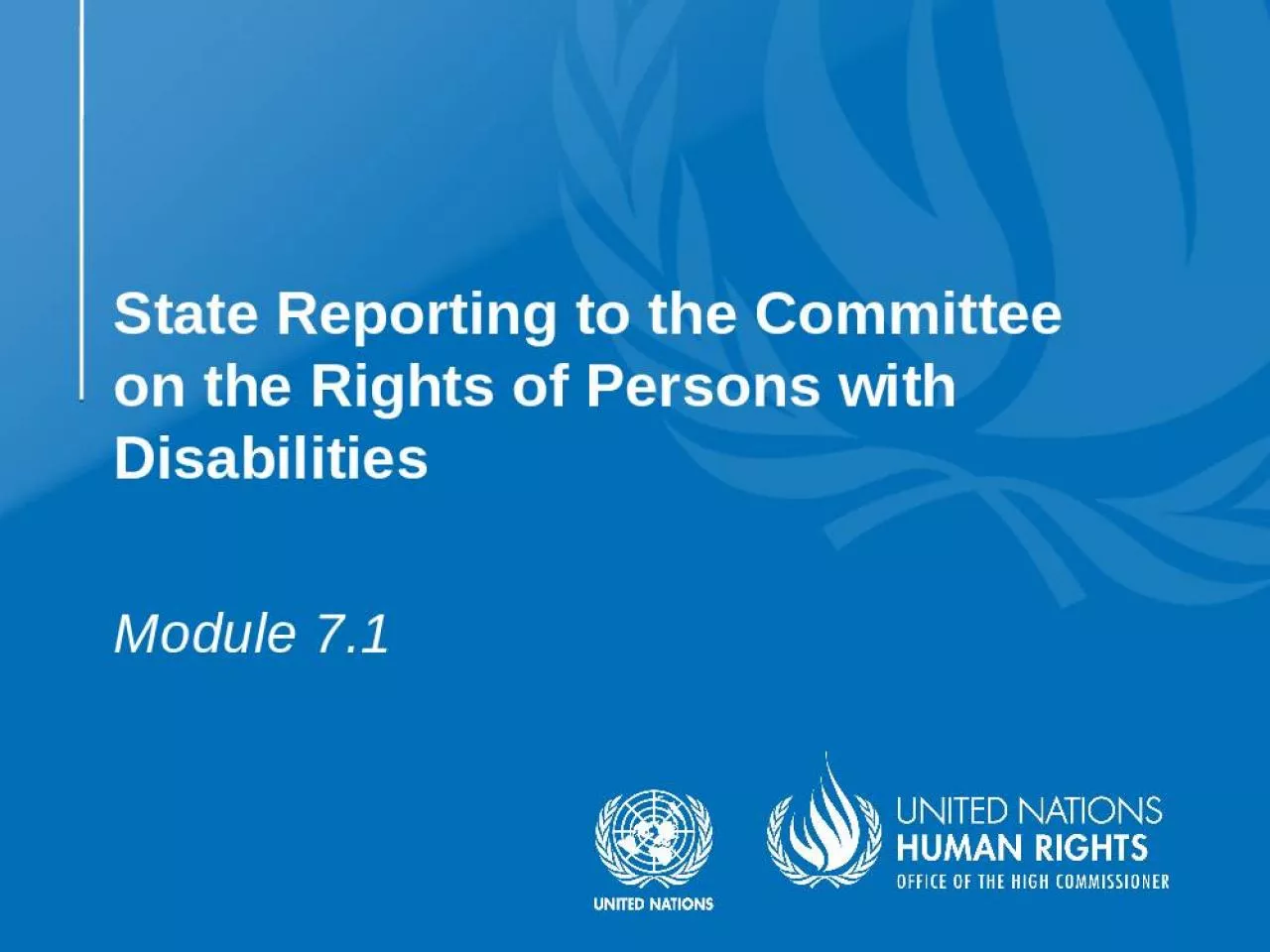 PPT-State Reporting to the Committee on the Rights of Persons with Disabilities