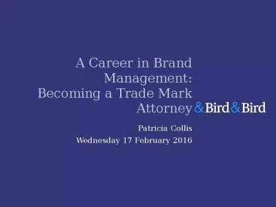 A Career in Brand Management: Becoming a Trade Mark Attorney