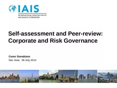 Self-assessment and Peer-review: Corporate and Risk Governance