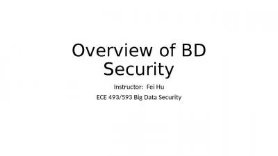 Overview of BD Security