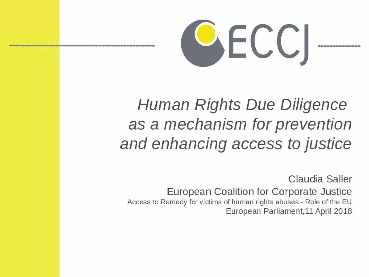 PPT-Human Rights Due Diligence as a mechanism for prevention and enhancing access to justice