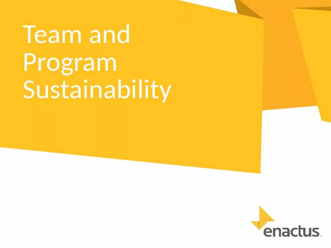 PPT-Team and Program Sustainability